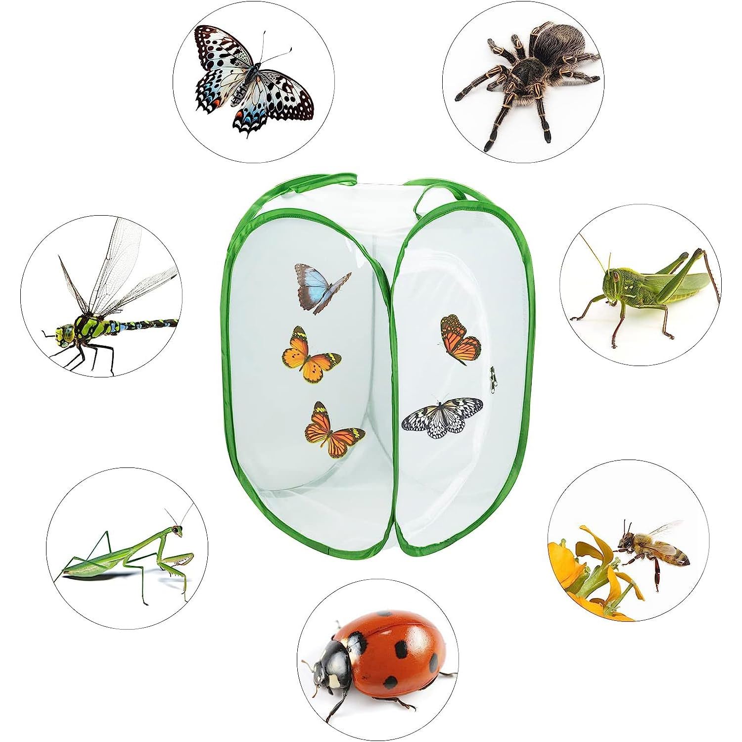 Butterfly and Insect Habitat Cage,Ompinda Collapsible and Transparent Pop-up Butterfly Net Cage for Caterpillars, Flying Insect,Observation Plant — view 5
