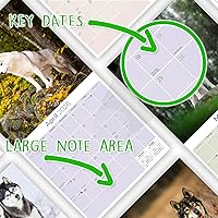 Vista 7 de Razas de Perros 2017