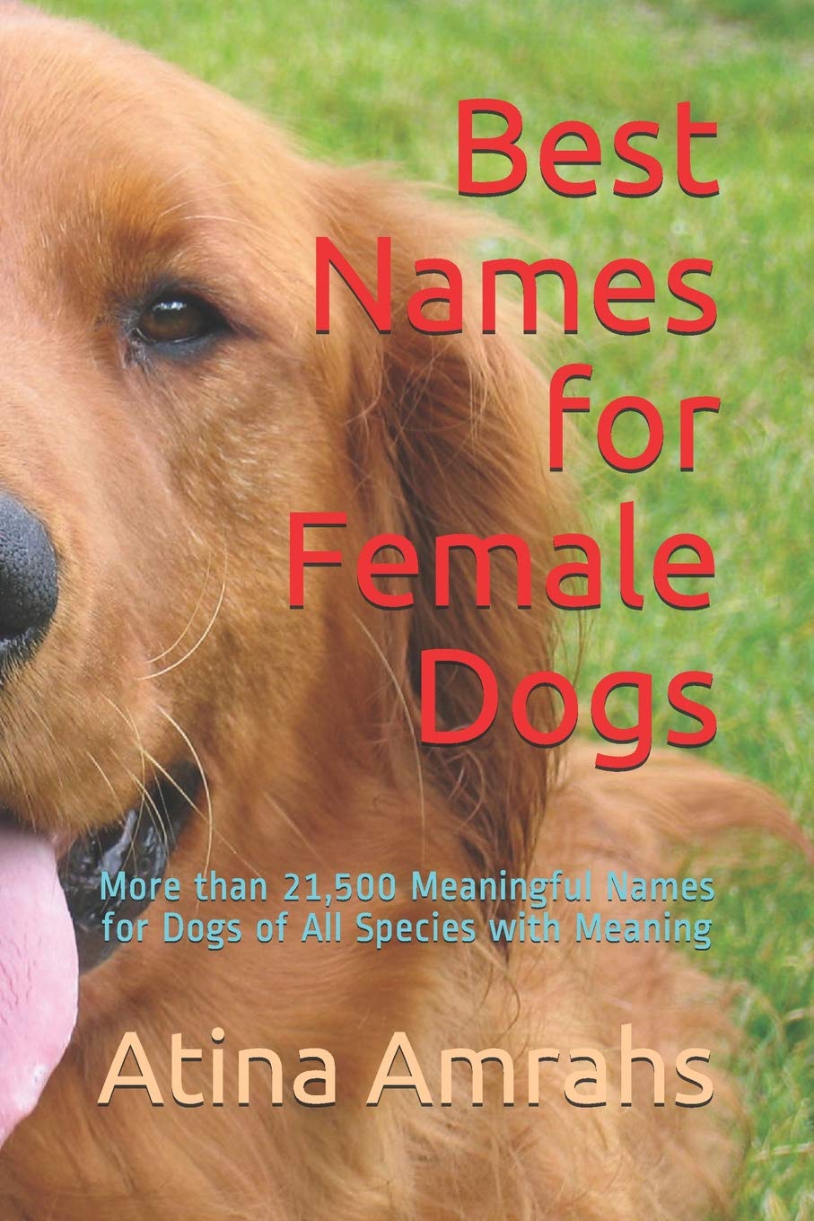 What Is The Meaning Of Female Dog