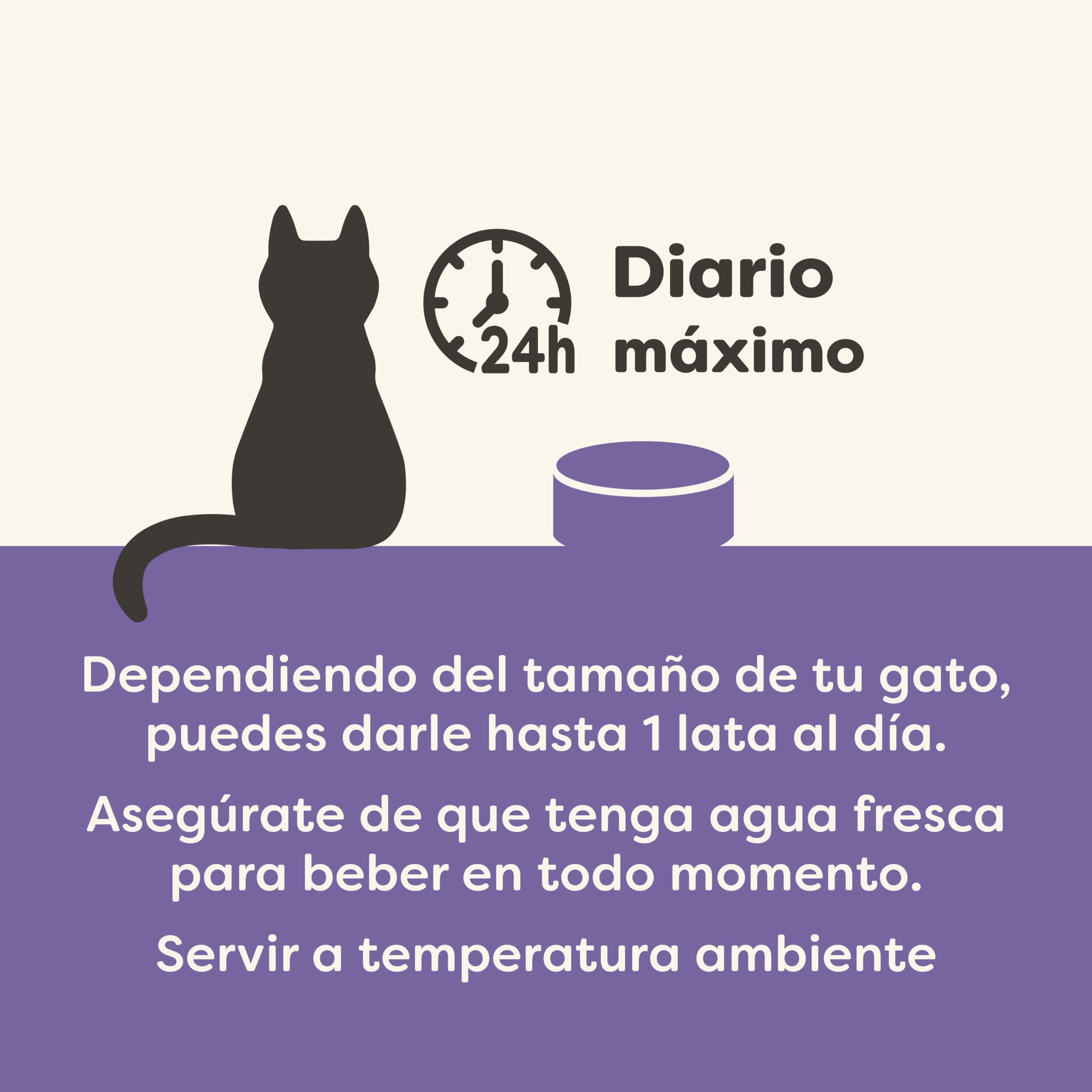 Applaws Comida húmeda 100% Natural para Gatos, Filete de Atún con Gambas en Caldo - Pack de 24 latas de 156g