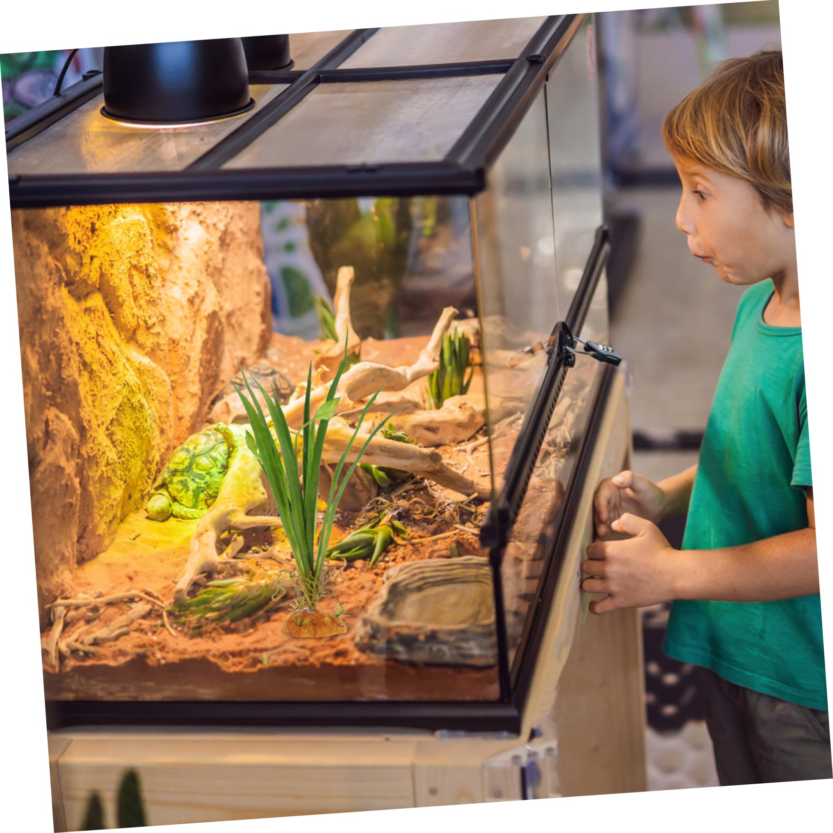 Mipcase 4pezzi Terrario Per Rettili Artificiali Realistiche Decorazione Per Habitat Rettili Facile Per Lucertole Draghi e Esotici