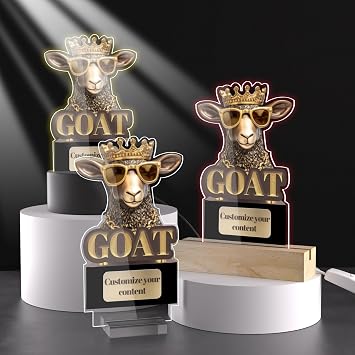 Maicican Acrylic Customizable Trophy, Award Trophies for Team Sports Perfect for Sports Activities Personalized Plaque and Memorial Plaques Personalized Trophies for Adults.