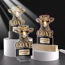 Acrylic Customizable Trophy, Award Trophies for Team Sports Perfect for Sports Activities Personalized Plaque and Memorial Plaques Personalized Trophies for Adults.