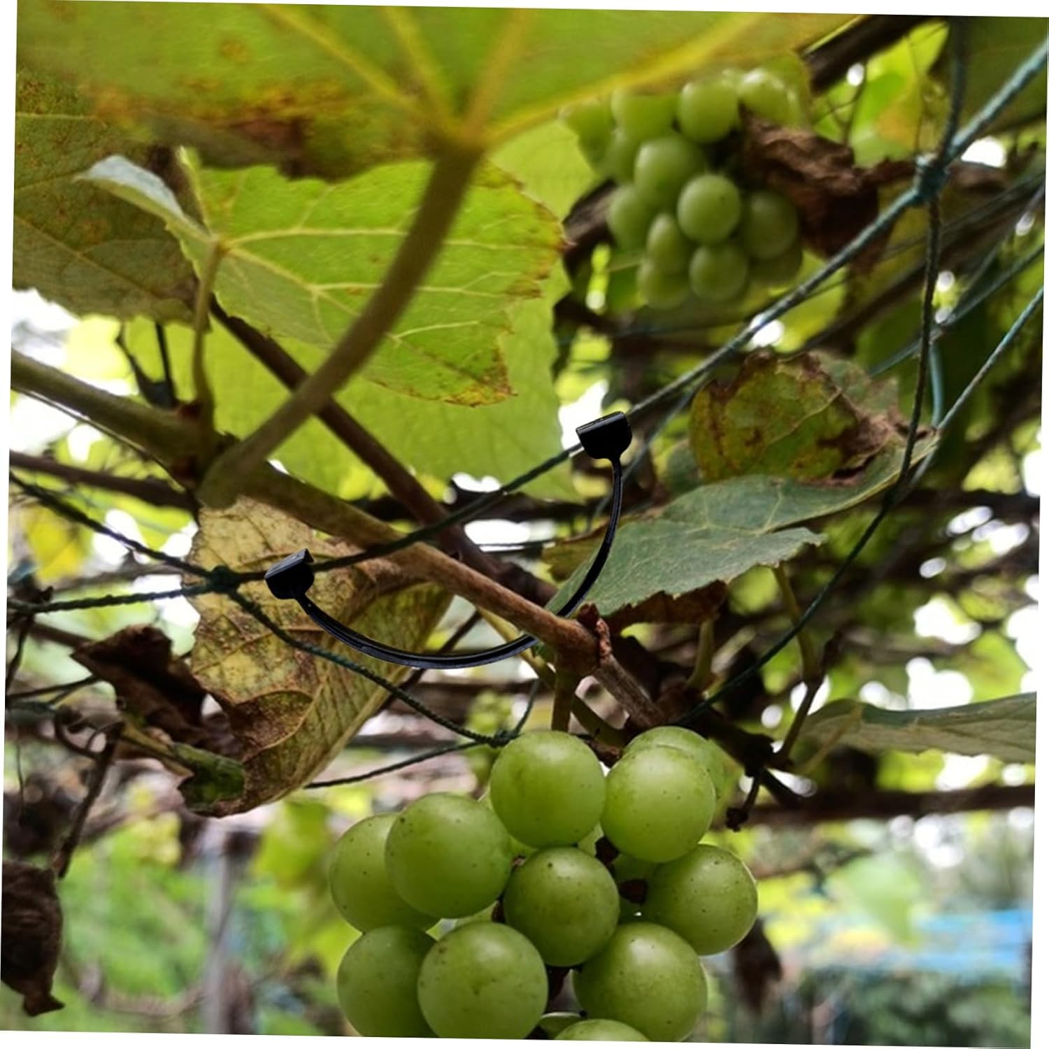 1bag Green Plastic Plant Support Clip Tie Branch Card Twisted Tie for Plant Cutting Support