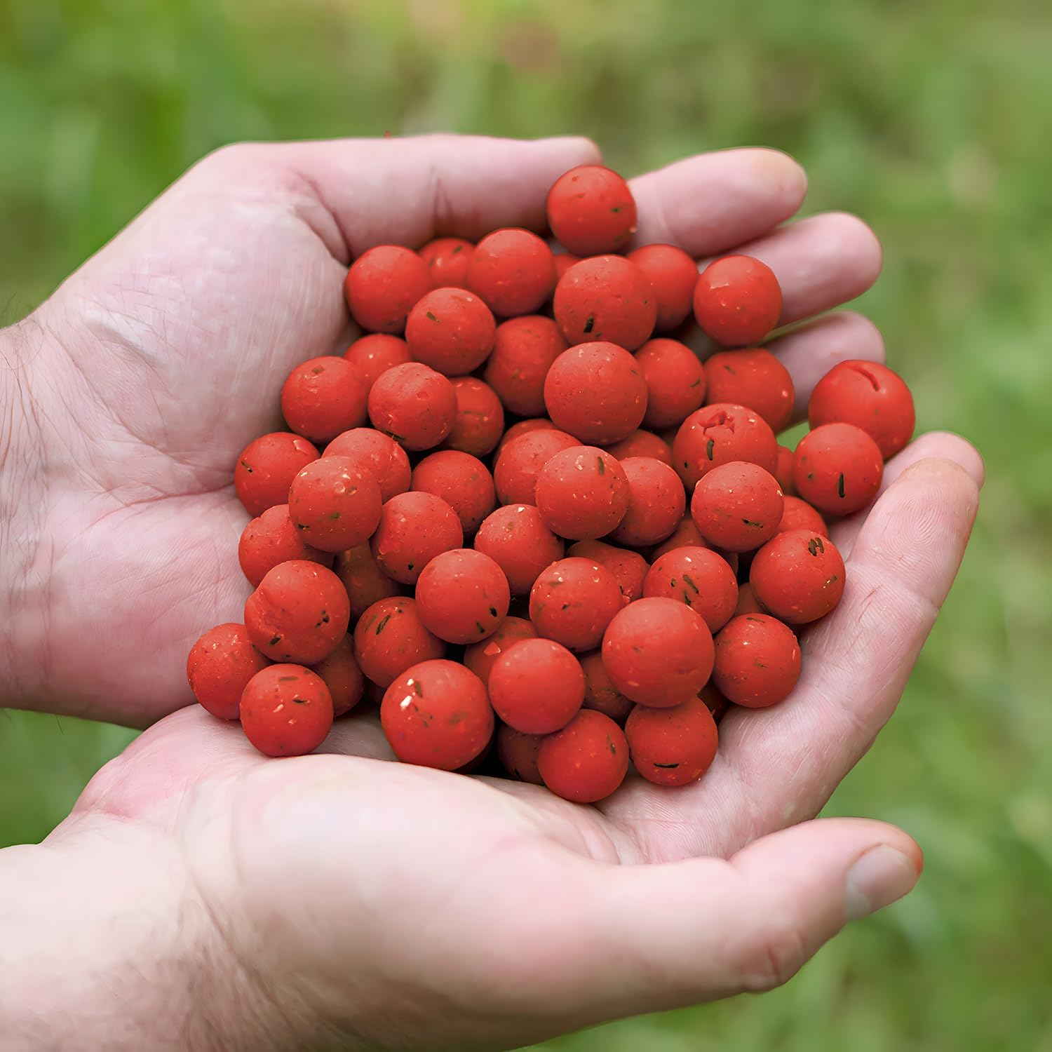 Tasty Baits Boilies - 20mm - Borsa da 10kg - irresistibile per Carpe - Adatta a Qualsiasi Acqua - Ideale per sessioni Lunghe e Breve!