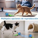 Ver la foto 7