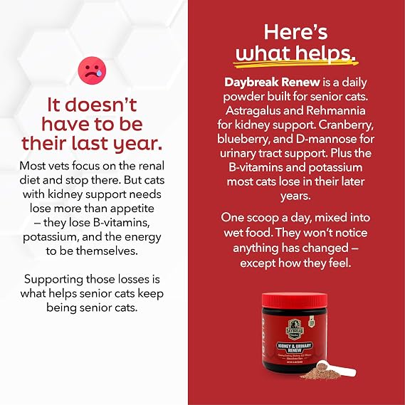 Daybreak Nutrition Kidney & Urinary Support for Cats