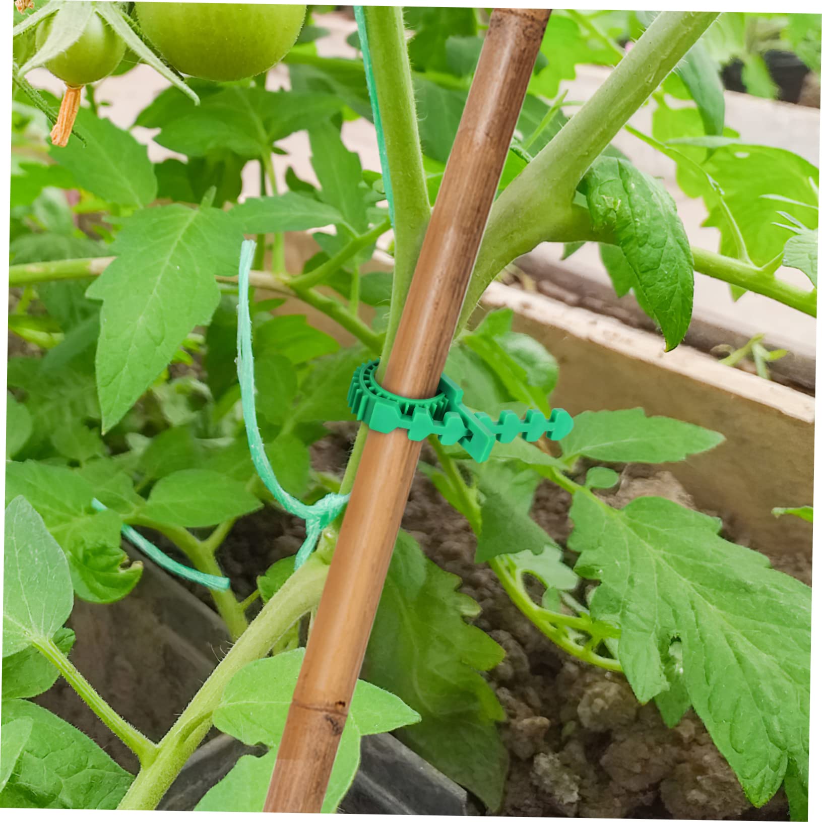 BESPORTBLE 90 Stck. Teiliges Baumgurte aus Flexiblem Gummi Verstellbare Baumbindebänder für Stabile Pflanzenstütze Vielseitige Pflanzenschnüre zum Binden von Bäumen und Rankhilfen im Garten