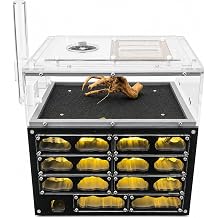 Lumen Plus Ant Farm Habitat with LED Light, 9-Chamber Formicarium with DIY Outworld Decor Kit, 30 mL Built-in Hydration System and Starter Kit