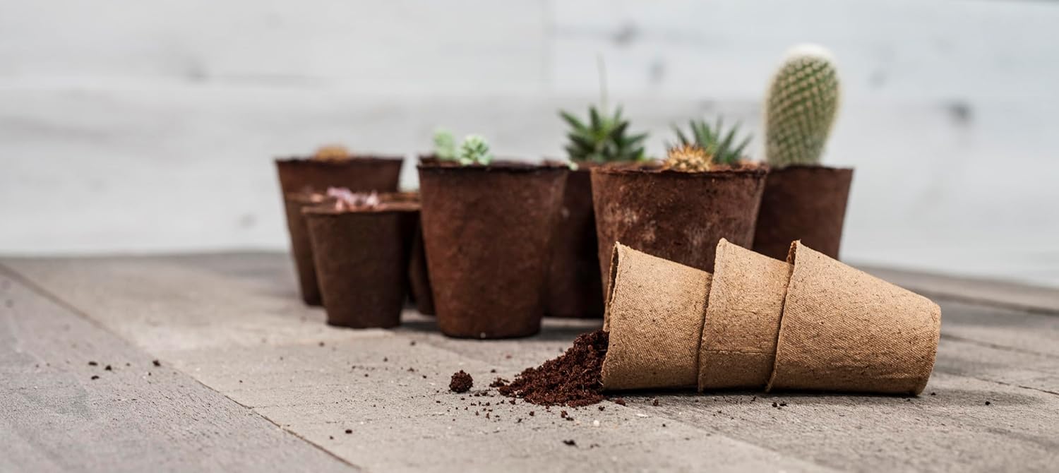 Daniel's Plants Biodegradable Seed Starter Pots (30 Pack) - Image 15