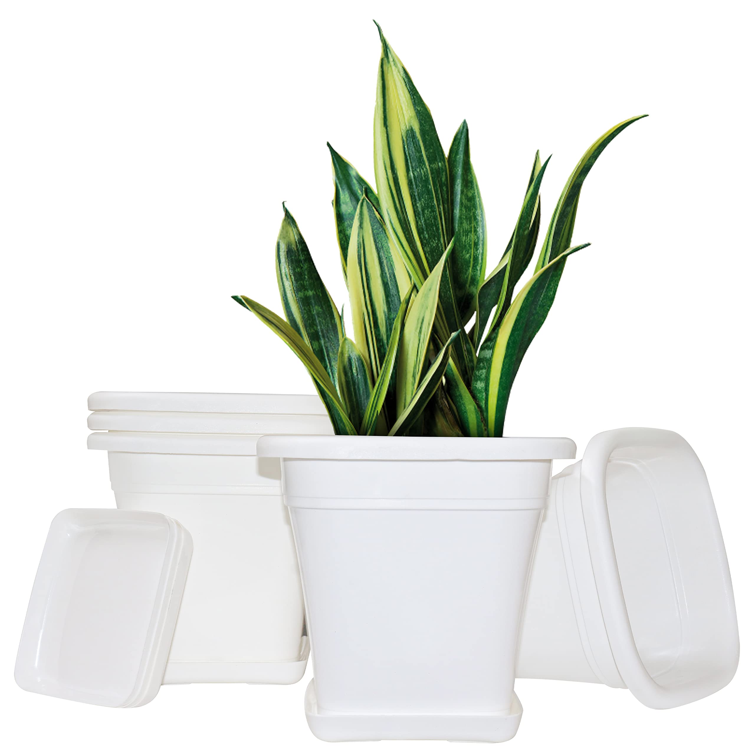Agora Premium Square Decor Flower pots 9” Virgin Plastic Indoor / Outdoor Balcony Flower pots with drip Tray Gamla for Home Garden Decorations - Pack of 5 (White) (B0CYGZPXFM) Amazon Price History, Amazon Price Tracker