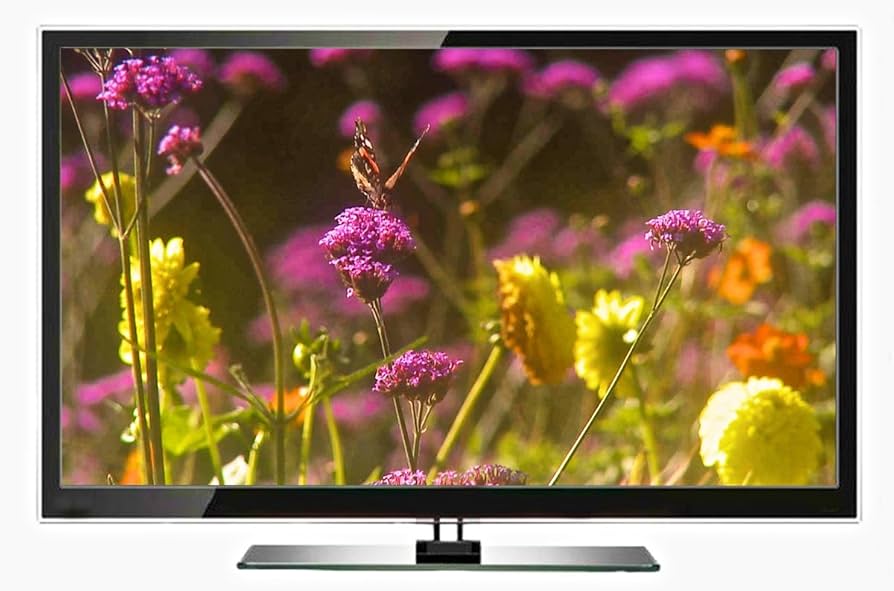 Amazon.com: Relaxing Music Nature DVD - Seasons: Spring