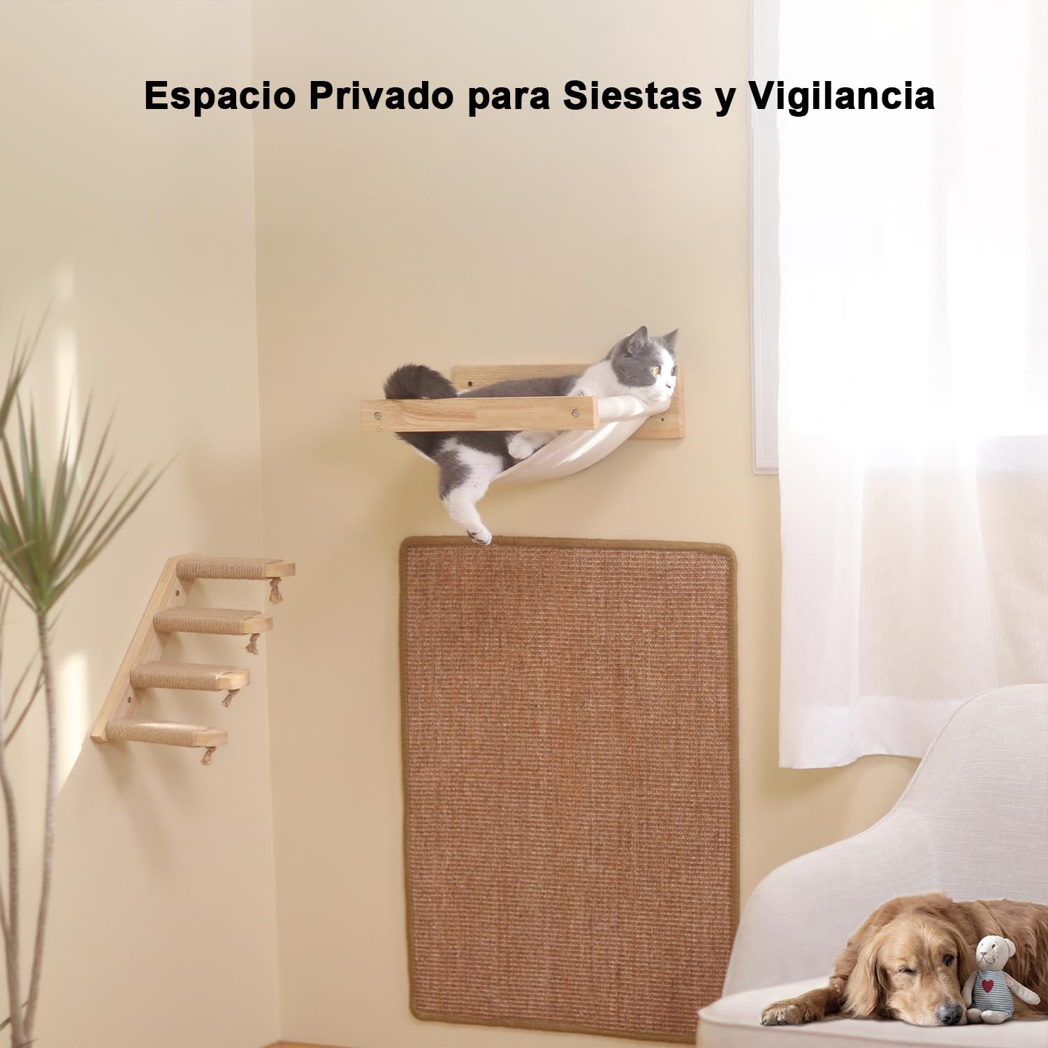 FUKUMARU Cama Pared Gato, Hamaca para Gatos Grande montado en la Pared, De Madera Maciza de Caucho, Muebles de Gatito Premium para Dormir, Jugar, Escalar y Descansar, Soporta hasta 18 KG