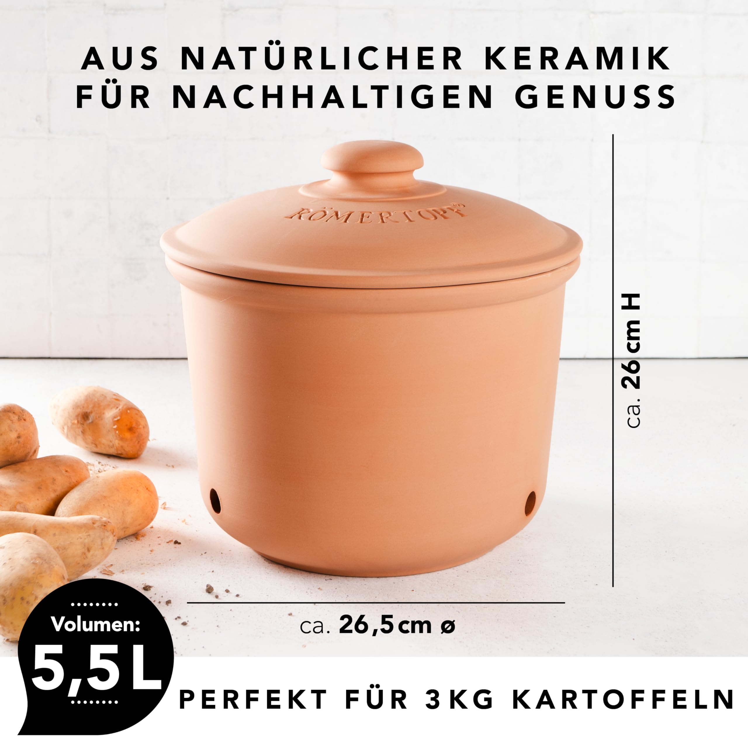 Römertopf Voorraadpot (5.50 l) - kopen bij