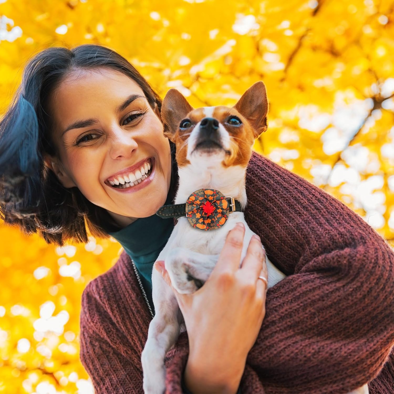 Silkfly 200 Pcs Fall Dog Collar Flowers Charms Bulk Thanksgiving Pet Flower Collar Bow Ties Holiday Dog Accessories Grooming Supplies Puppy Bows Slides Attachment for Small Medium Large Dogs Cat