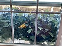 Review Image by michelle pawl gierak michelle pawl gierak