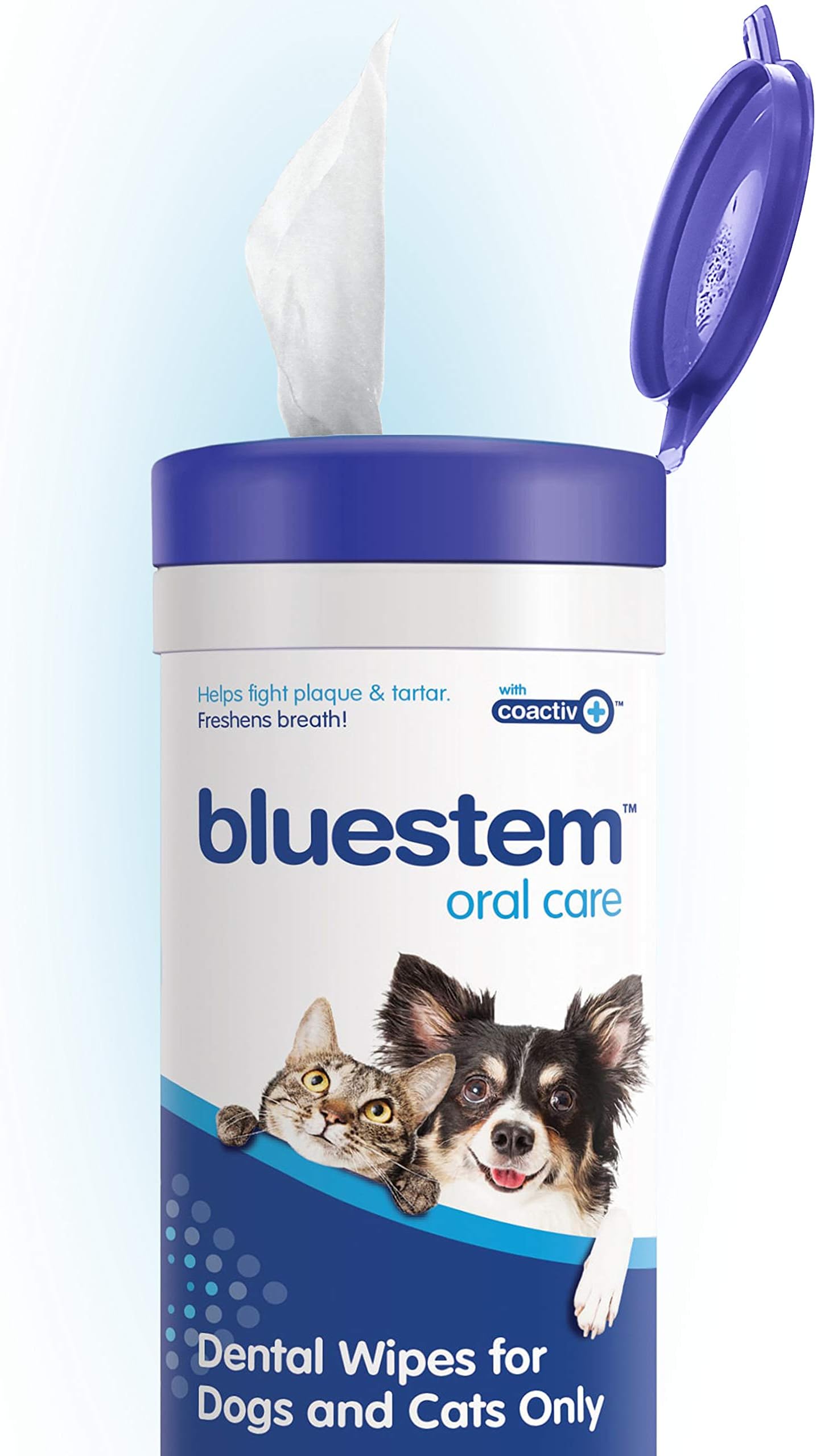 Dental Wipes