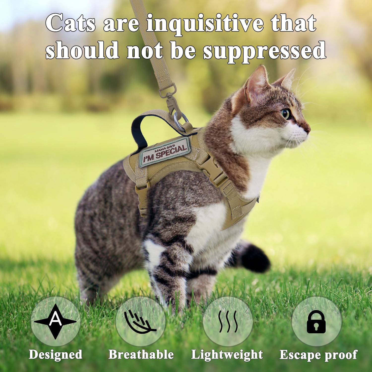 Taktisches Katzengeschirr zum Spazierengehen, ausbruchsicher, weiches Netzgewebe, verstellbar, Haustierweste, Geschirr für große Katzen, kleine Hunde und Khaki (Khaki, Medium)