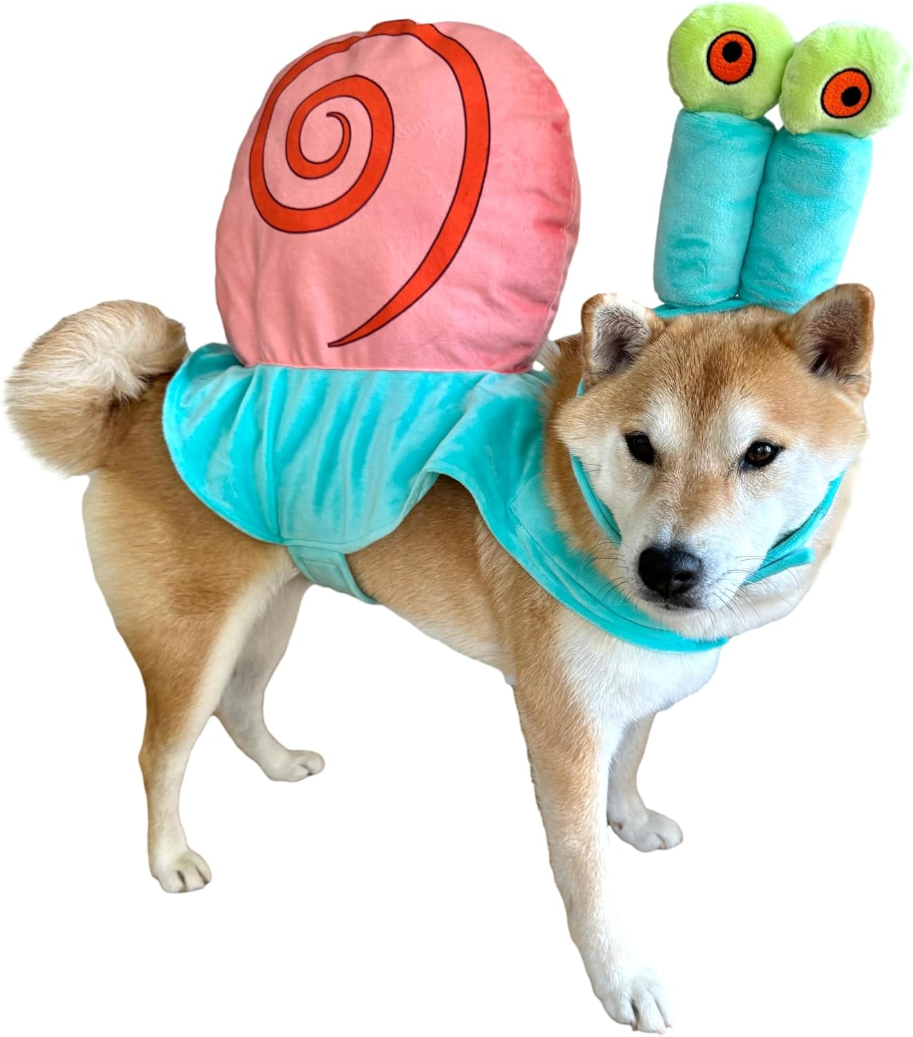 ComfyCamper Dog Sea Snail Pet Costume - XS Small Medium Large XLarge XXL Cosplay Halloween Costumes Christmas, M Medium Turquoise