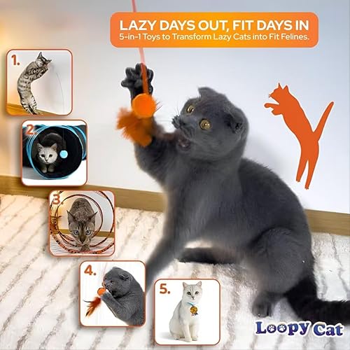 Miniatura 8 de Paquete de juguetes interactivos 5 en 1 para gatos de interior, túnel para gatos, caña de pescar, varita de juguete de plumas, tubo en espiral,