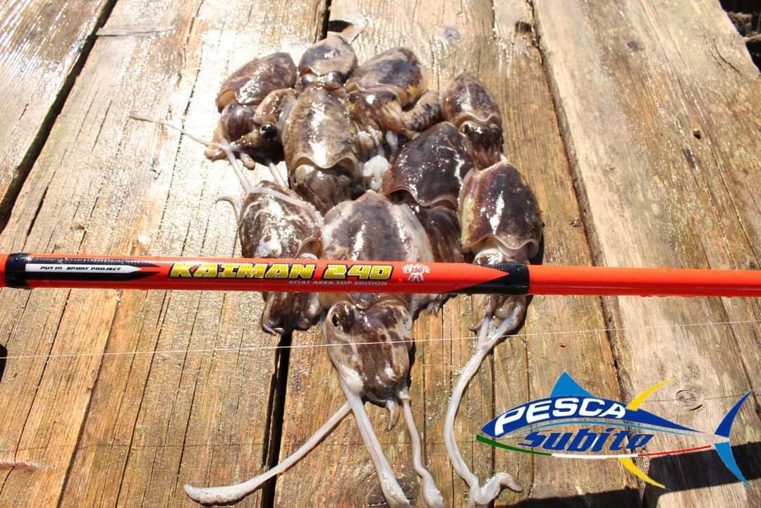 Pescasubito.com Combo Canna Kaiman 2.40Mt + Mulinello Teben da Pesca Calamari Seppie Seppia Eging