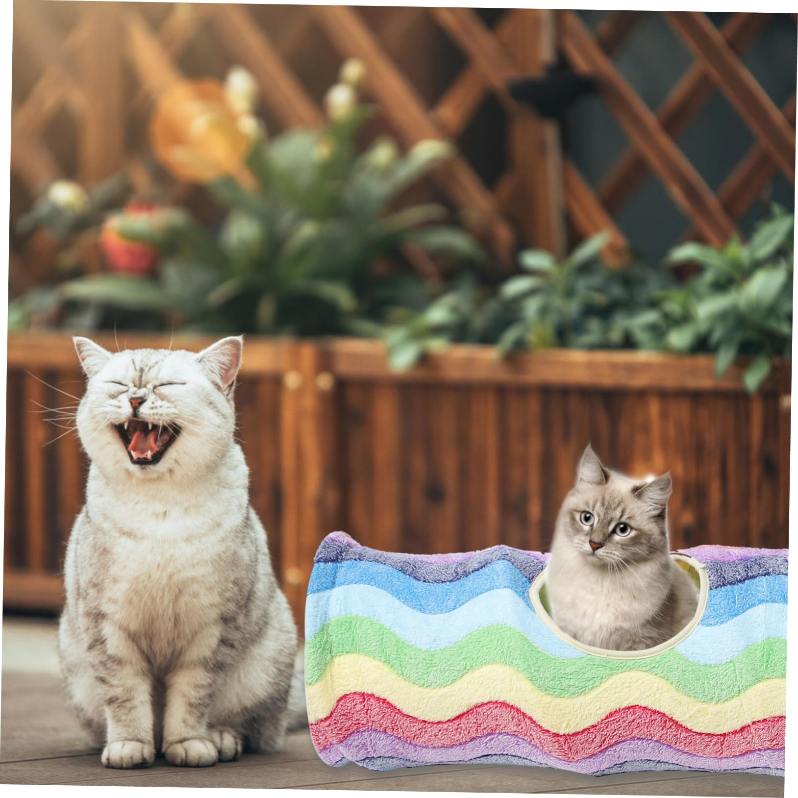Spielzeug zum Erkunden und Spielen aus Flanell mit Regenbogenmuster Katzentunnel Faltbarer Katzen Tunnel Fördert Bewegung und Neugier der Katze