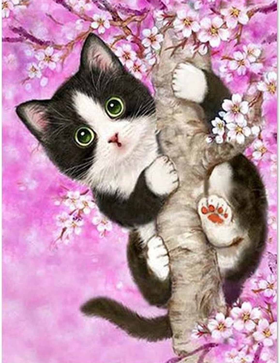 Sekin-asta sikildi Sexy Neighbor erotik filmini tomosha qiling