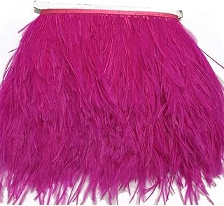 KOLIGHT Pack of 2 Yards Natural Dyed Ostrich Feathers Trim Fringe 4inch for DIY Dress Sewing Crafts Costumes Decoration (Rose)