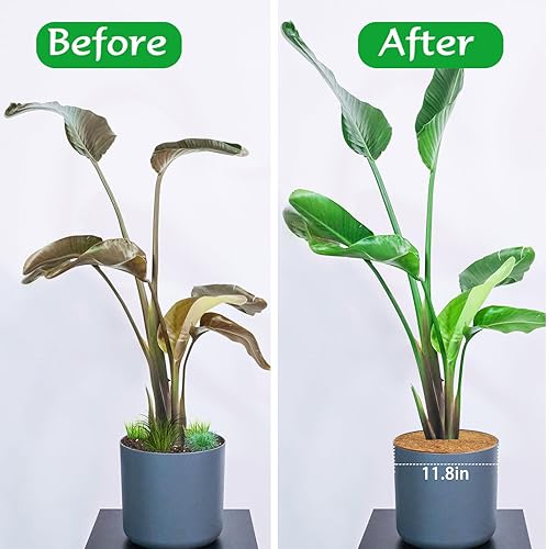 Miniatura 5 de ZeeDix 12 alfombrillas protectoras de fibra de coco, 11.8 pulgadas, cubierta de plantas, tapete de mantillo para malezas, anillo de mantillo de