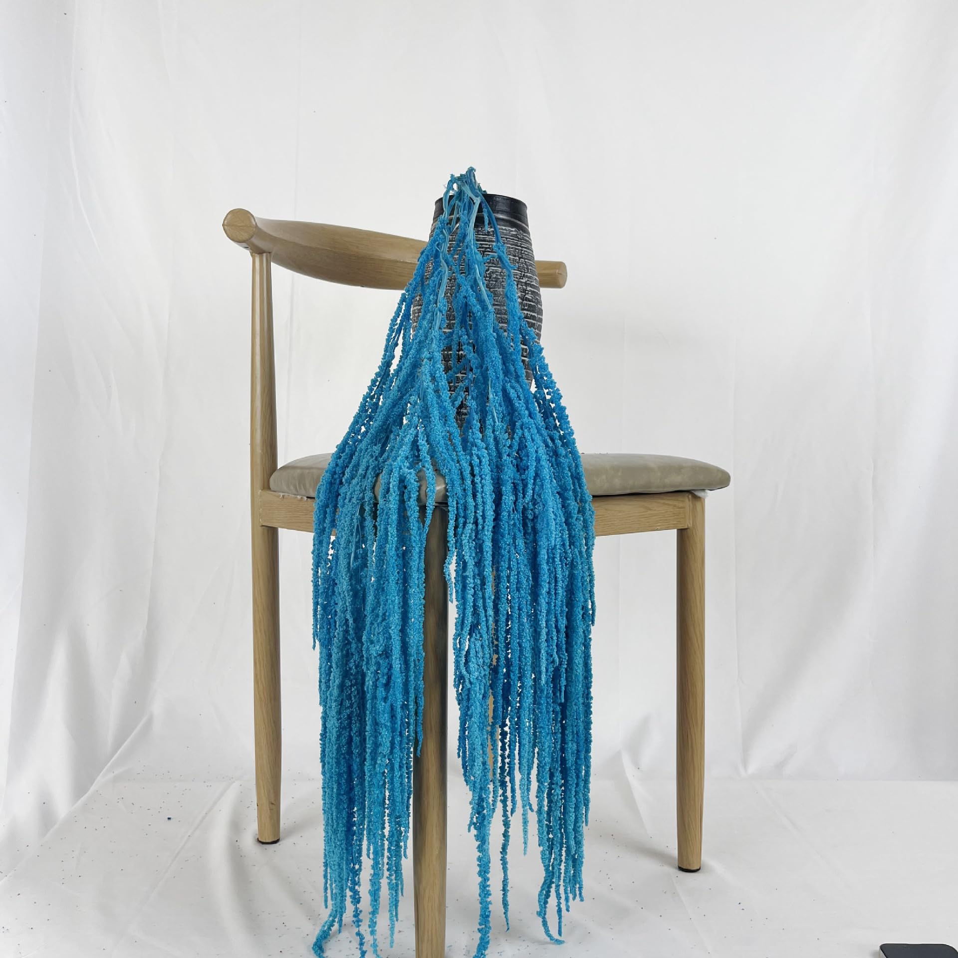 DongArts Natural Preserved Amaranthus Flowers, 5 Pcs Bleached Wisteria Vine Hanging Dried Flowers for Wedding Bouquet, Home Party Decor (Blue)