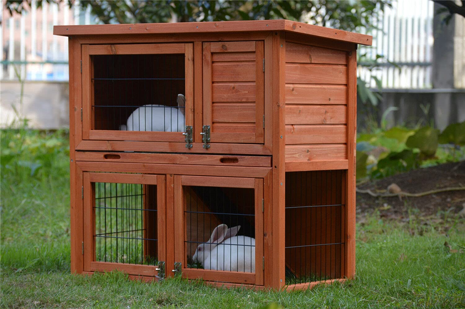 Buy BUNNY BUSINESS 36" 2Tier Double Decker Rabbit/Guinea Pig Hutch