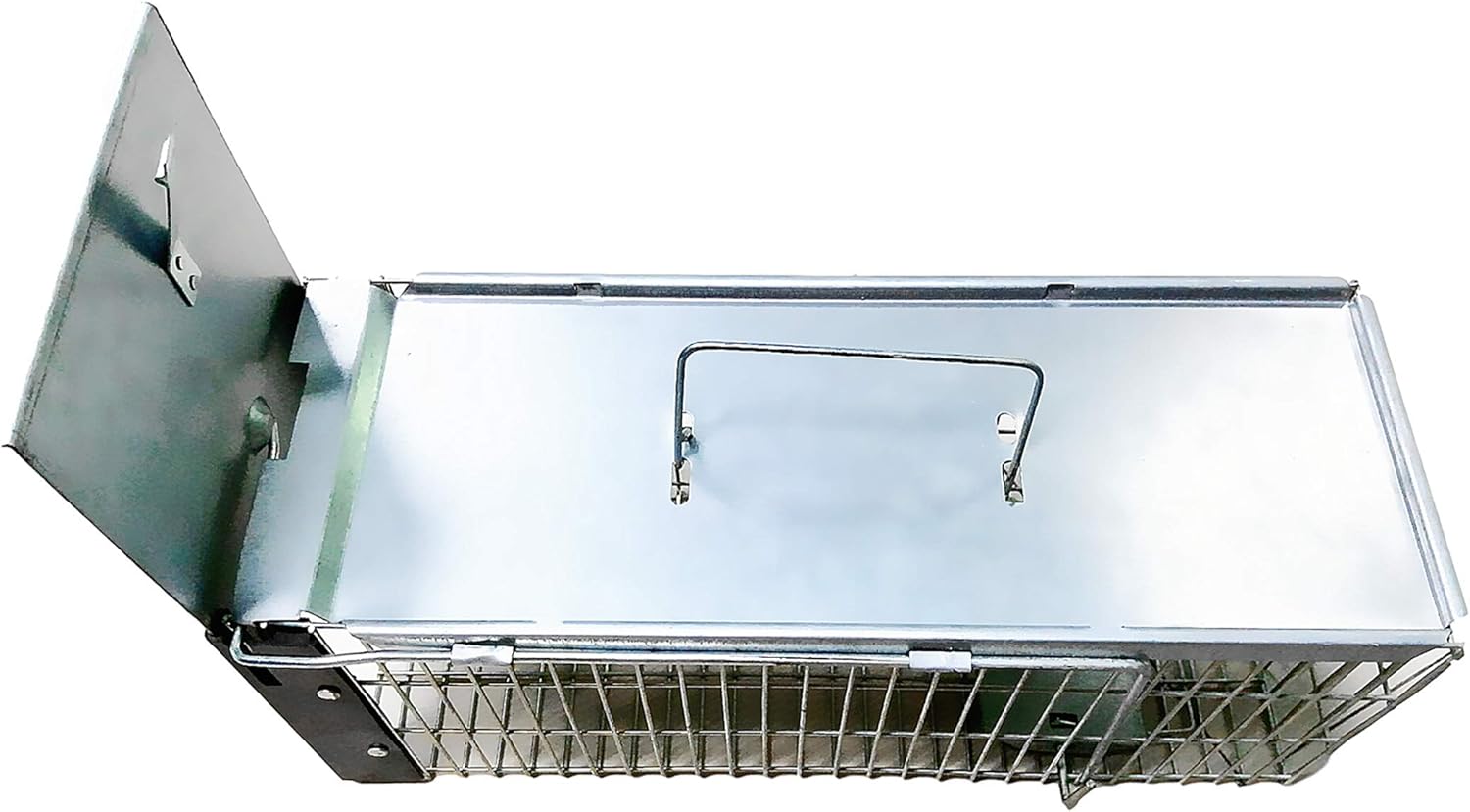 Faicuk Heavy Duty Squirrel Trap Chipmunk Trap Rat Trap and Other Similar-Size Rodents - 16.3” x 6” x 6.7”