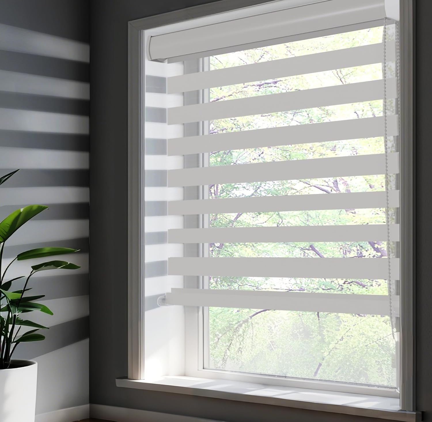 SUNWAY Corded Zebra Roller Blinds for Windows, Dual Layer Zebra Roller Sheer Blind, Easy Light Control for Privacy Light Filtering Roller Shades for Windows (36" W x 72" H, White) White 36"W x 72"H