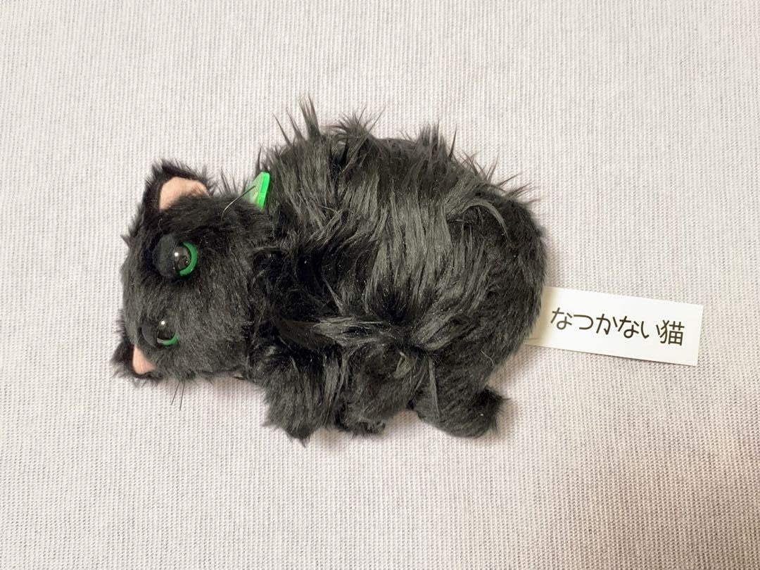 せこなお　なつかない猫　黒猫　ぬいぐるみ せこなお on X: 