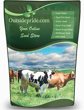 Outsidepride Great Gains Pasture Seeds - 5 lb. Perennial, Drought & Cold Tolerant, High Sugar Grass for Sheep & Goats Hay Foraging & Rotational Grazing