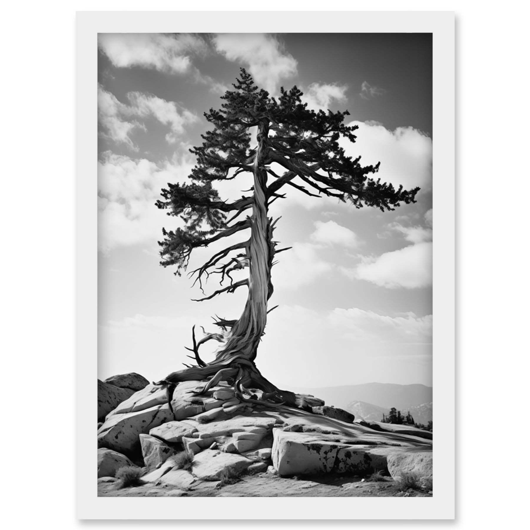Artery8 Weathered Jeffrey Pine Standing on a Rocky Hill Black and White Photograph Lone Tree Artwork Framed Wall Art Print A4