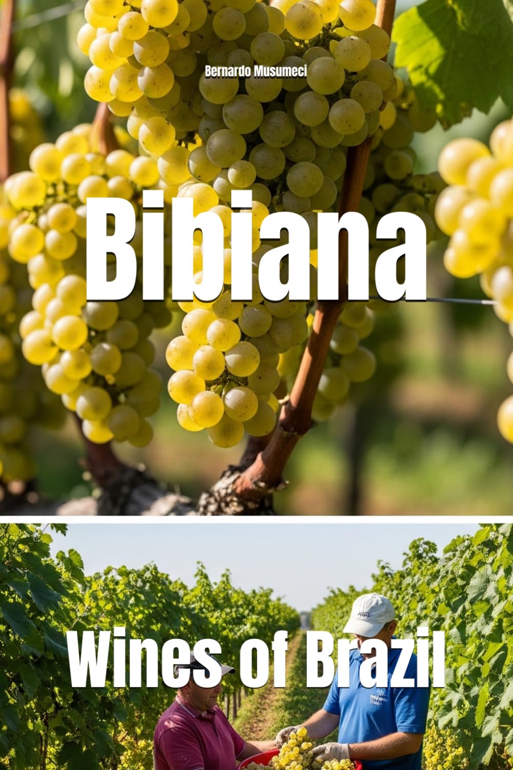 Bibiana: Wines of Brazil (Wines of the World: Brazil)