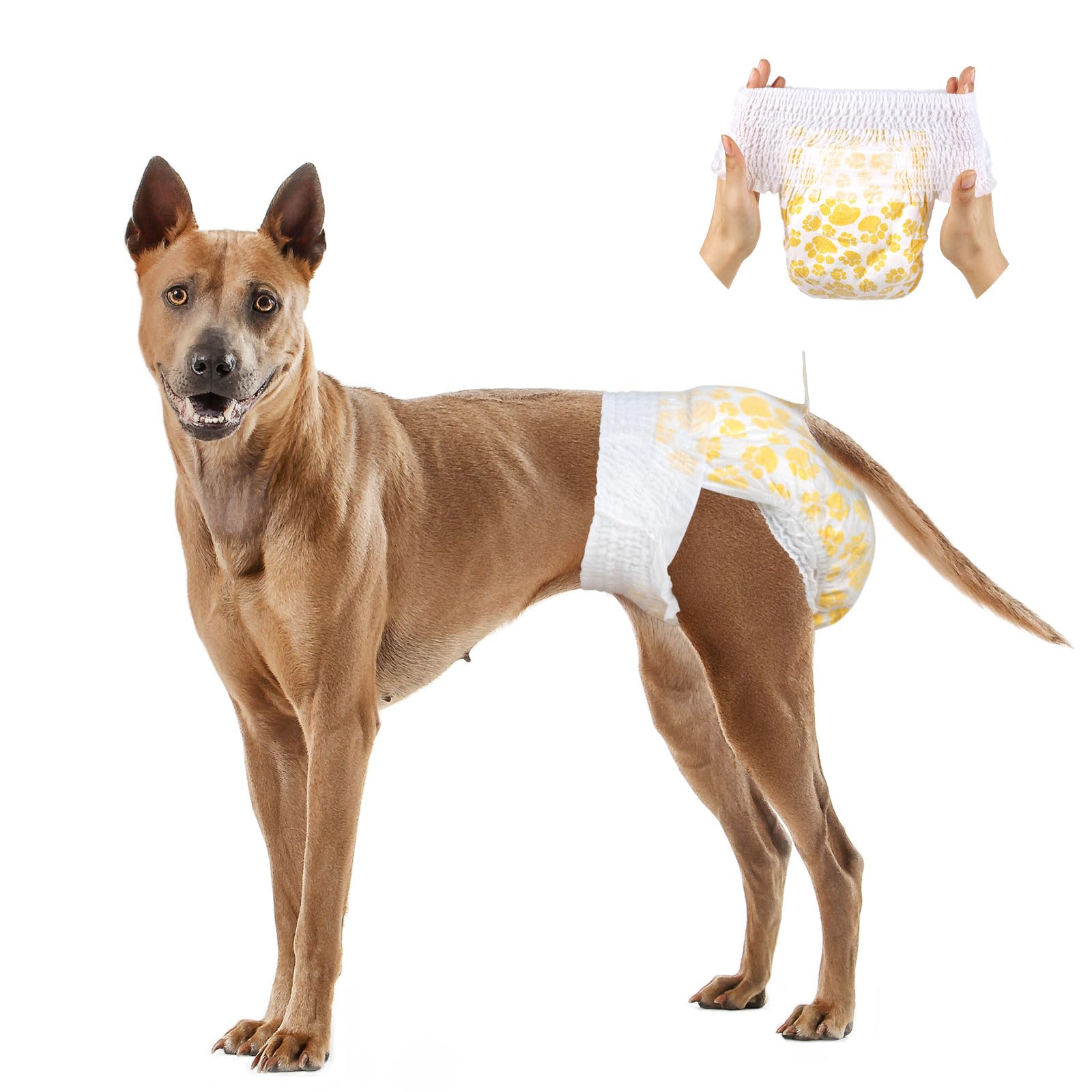 Dono Pannolini per cani femmina con vita completamente avvolgente e elasticizzata, 16 pezzi, pannolini per cani, super assorbenti, a tenuta stagna, pannolini per cani per caldo, periodo, incontinenza