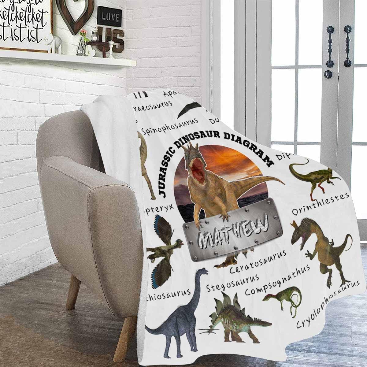 Personalized Dinosaur Blanket for Boys Girls, Custom Jurassic Dino Baby Blankets with Name, Customized Gifts for Toddlers Teen Dinosaur Fans, Fleece Throw Blanket for Bed Sofa Couch Camp 50"x60"