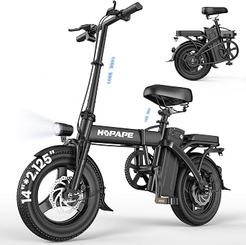 Foldable Electric Bike for Adults,750W Electric Bike, 20MPH Folding Ebike