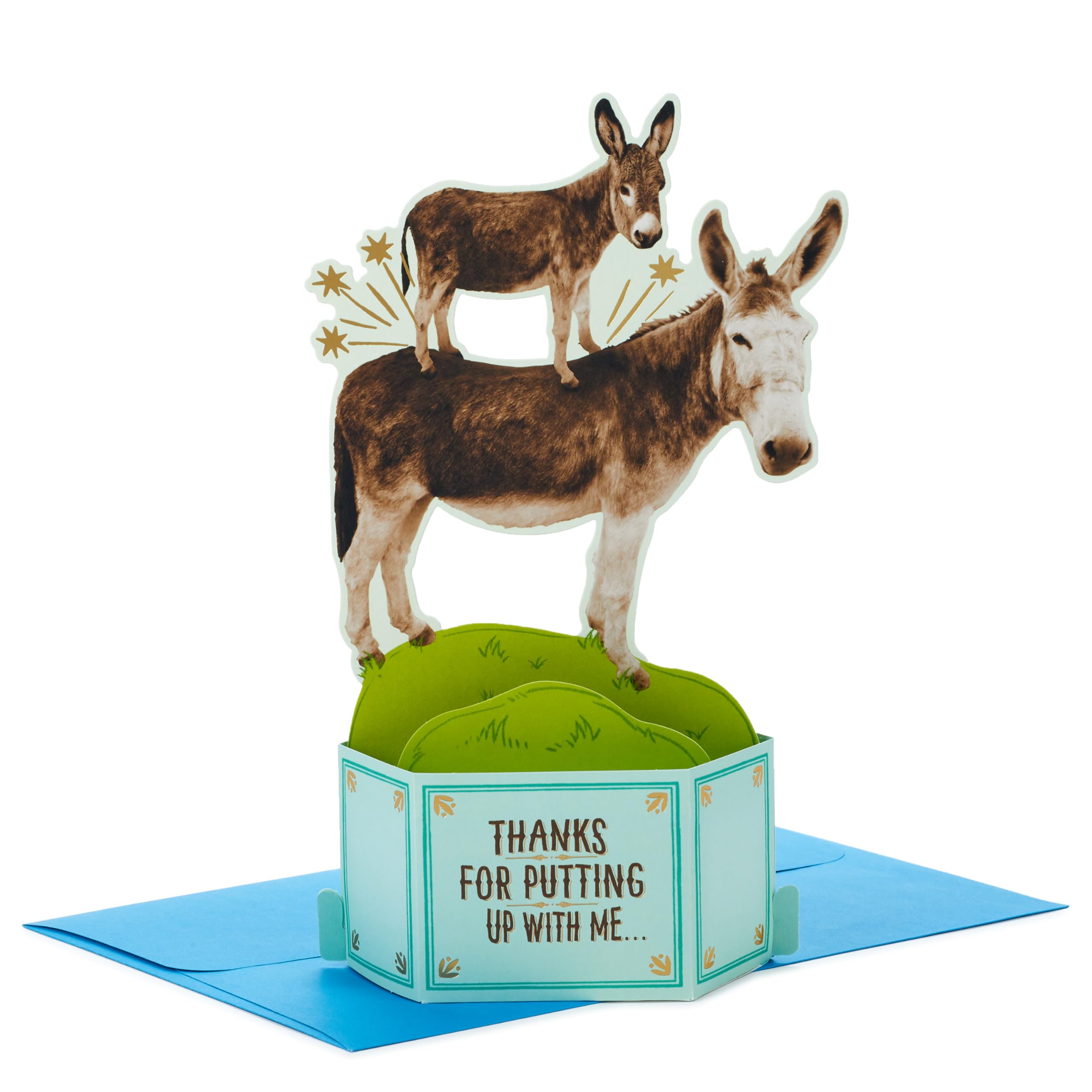 Funny Pop Up Birthday Card from Son or Daughter (Donkeys, Pain in the...) Paper Wonder Shoebox 3D Card
