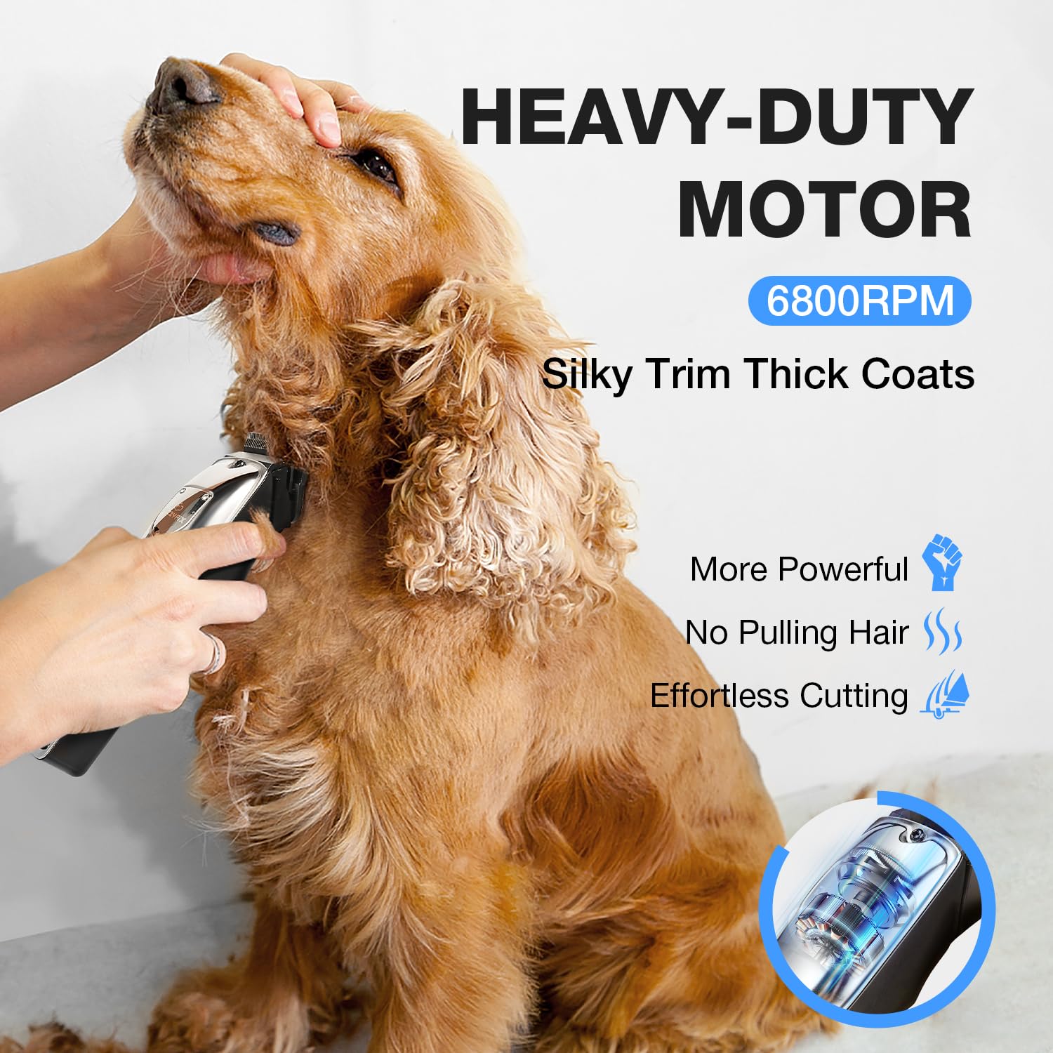 FuzzyFix Tosatrice per Cani,Tosatrice per Cani Professionale in Acciaio Inox, Rasoio per Cani, Tosatrice per Peli di Animali Domestici Spessi e Ricci