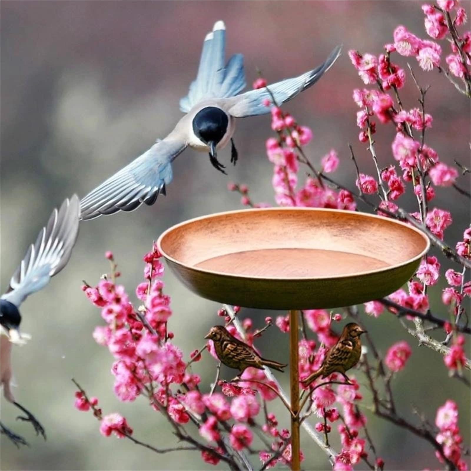 Vogeltränke Stehend Outdoor Bird Bath Bowl with Ornament | For Garden Decors Sturdy Metal Construction Stable