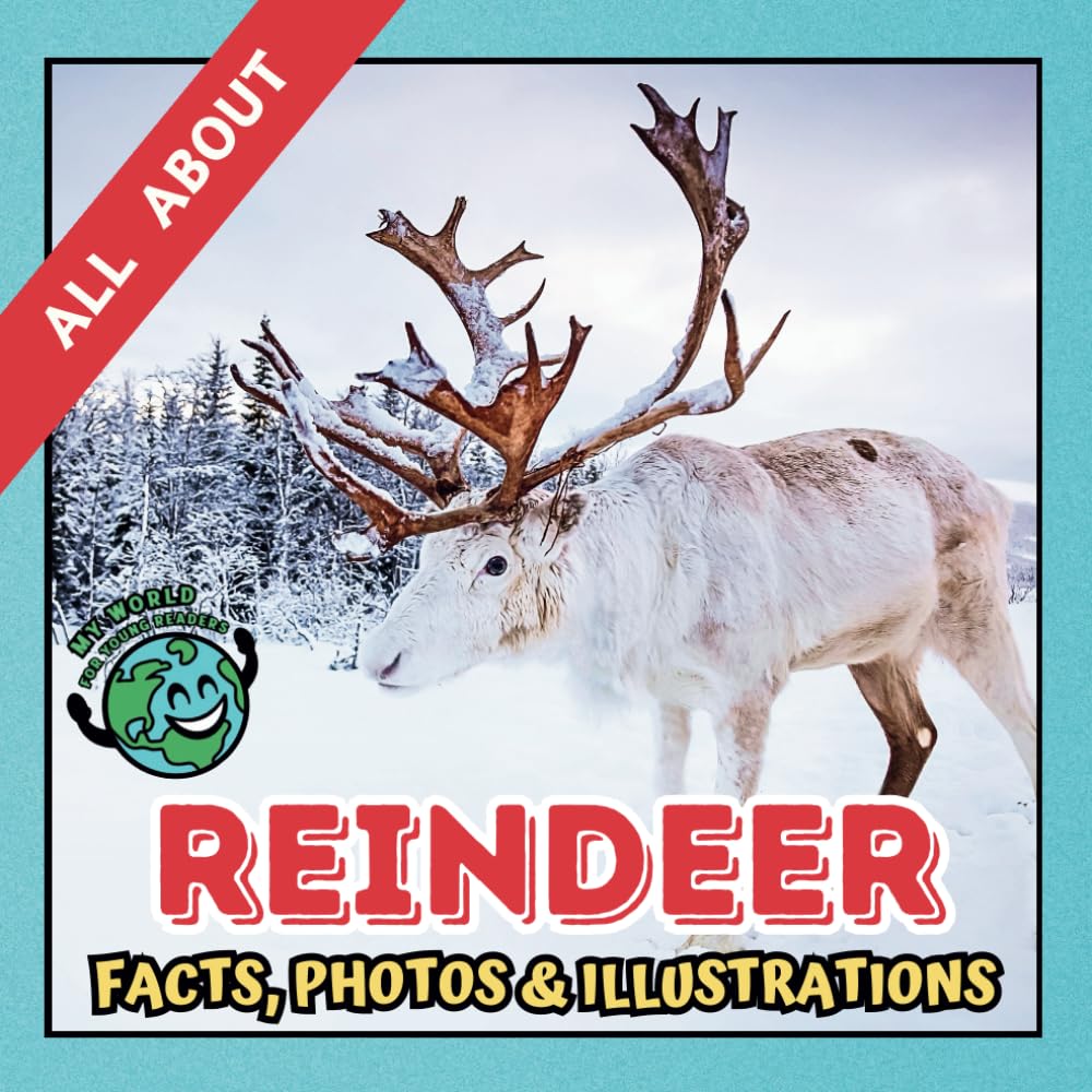 All about Reindeer | Facts, Photos and Illustrations: A Picture Book for Curious Children | Screen-Free Infotainment (MY WORLD for YOUNG READERS)