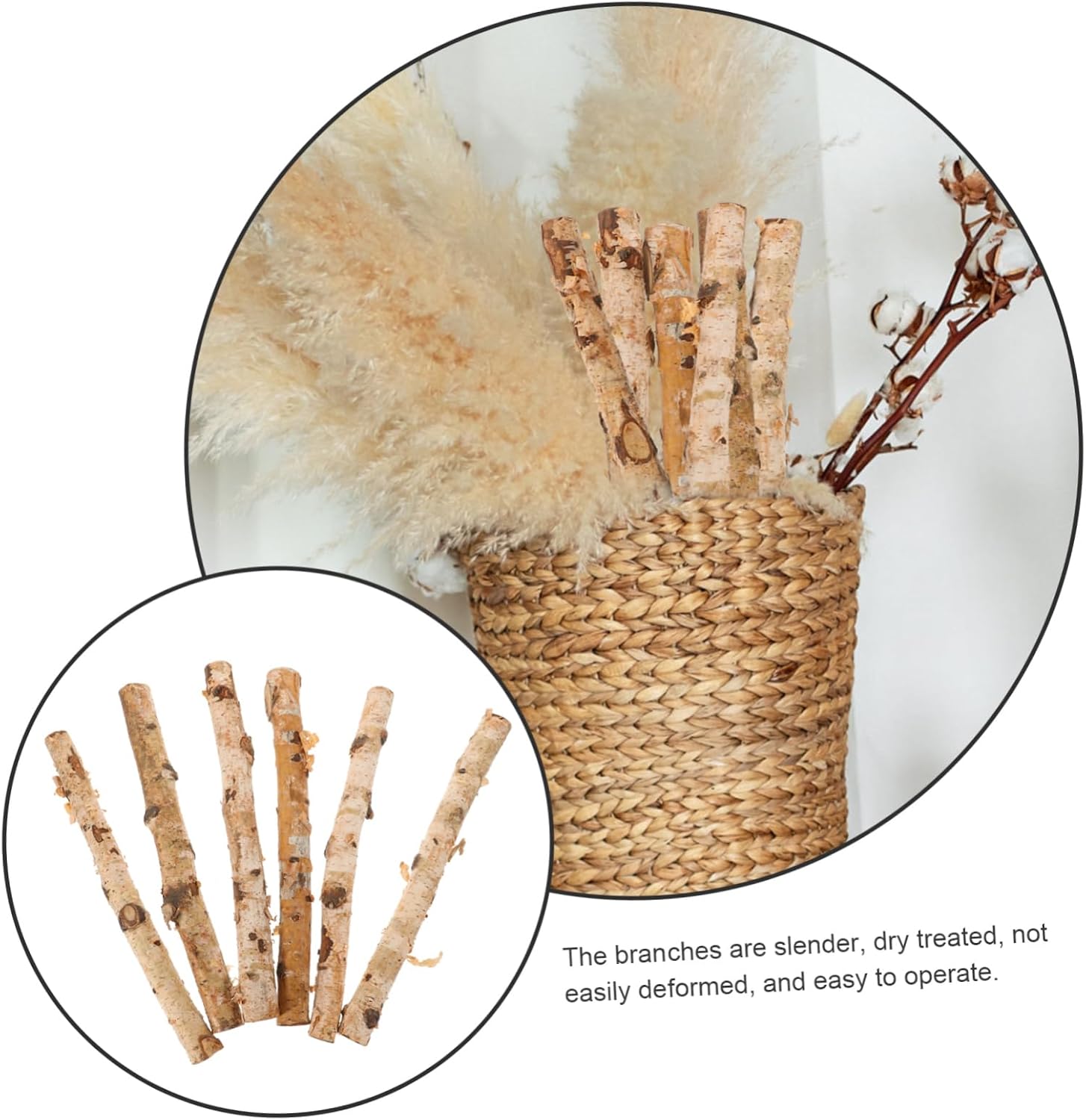 6pcs Natural Birch Wood Sticks for Crafts Thin Branches for Floral Arrangements Home Decor and Creative Projects Versatile Decorative Logs for Crafting Needs
