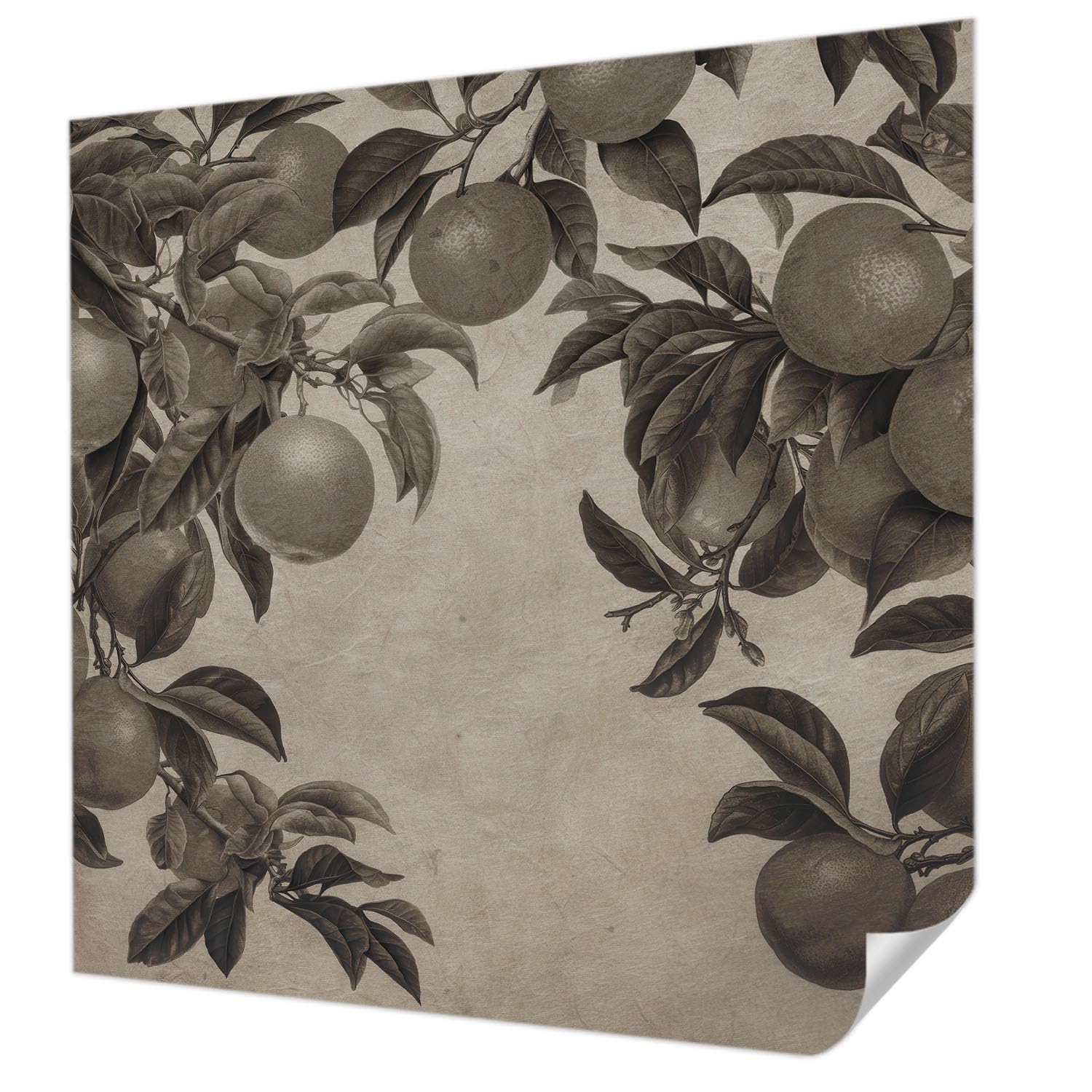 Papier peint autocollant 250x250 cm Tulup motif fruit pour mur de salon