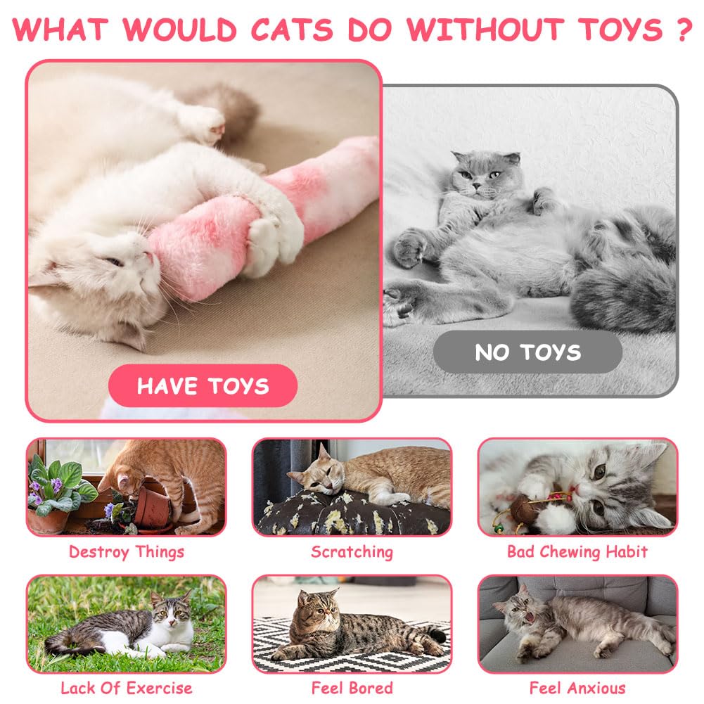 Katten accessoires – praktische producten voor katten Katten accessoires – praktische producten voor katten