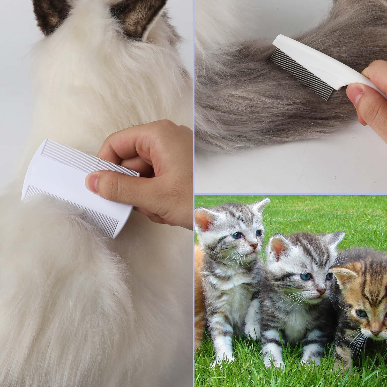 4pcs Brosse de Toilettage pour Animaux de Compagnie, Peigne à Puces pour Chat Peigne à Puces Chien Multifonctionnel Peigne à Puces pour Chiens Peigne à Cheveux pour Animaux de Compagnie