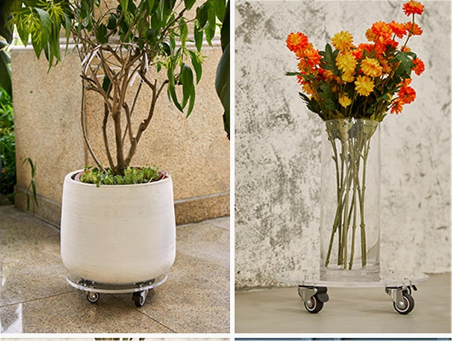 Plant Caddy Garden Flower Plant Cart with Wheels Round Flower Pot for Indoor and Outdoor Use Rolling Plant Stands(Transparent,20CM)