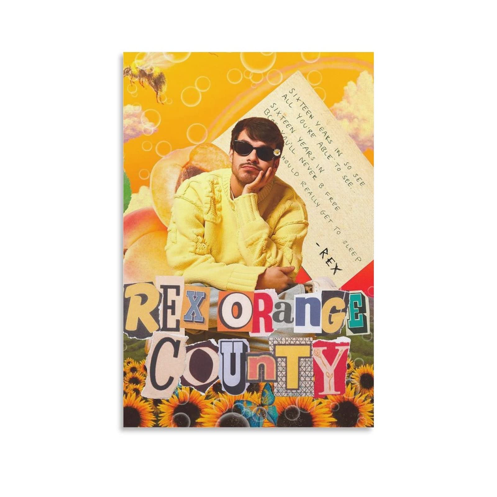Rex Orange County 6 Canvas Poster Bedroom Decoration Landscape Office Valentine's Birthday Gift Unframe-style12x18inch(30x45cm)